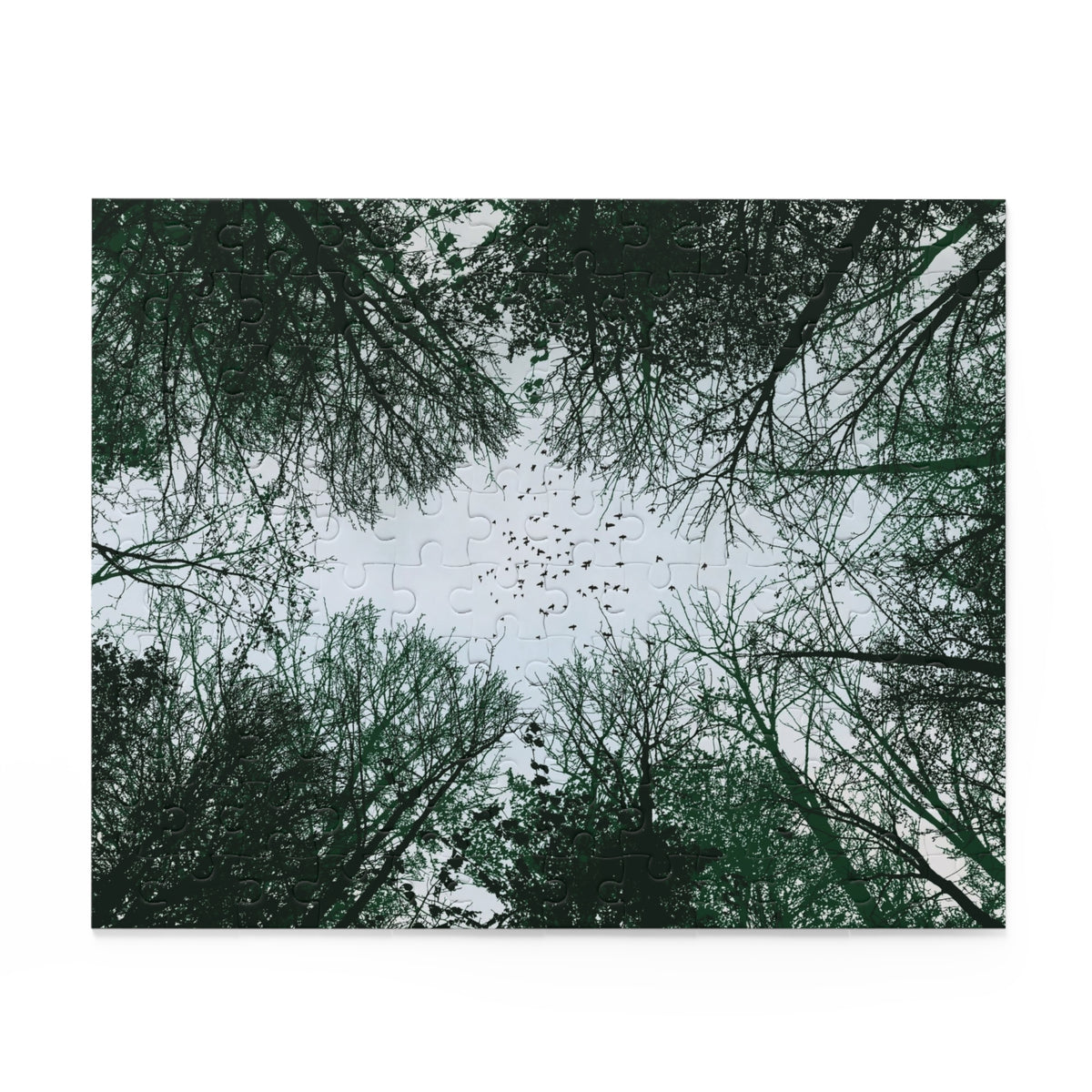 Forest Canopy Puzzle
