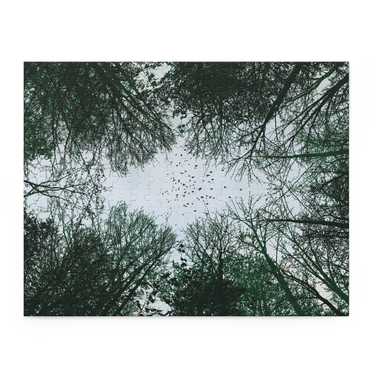 Forest Canopy Puzzle