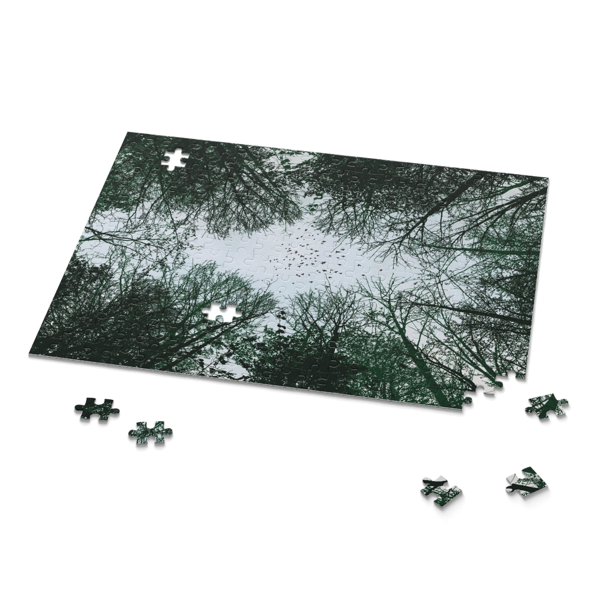 Forest Canopy Puzzle