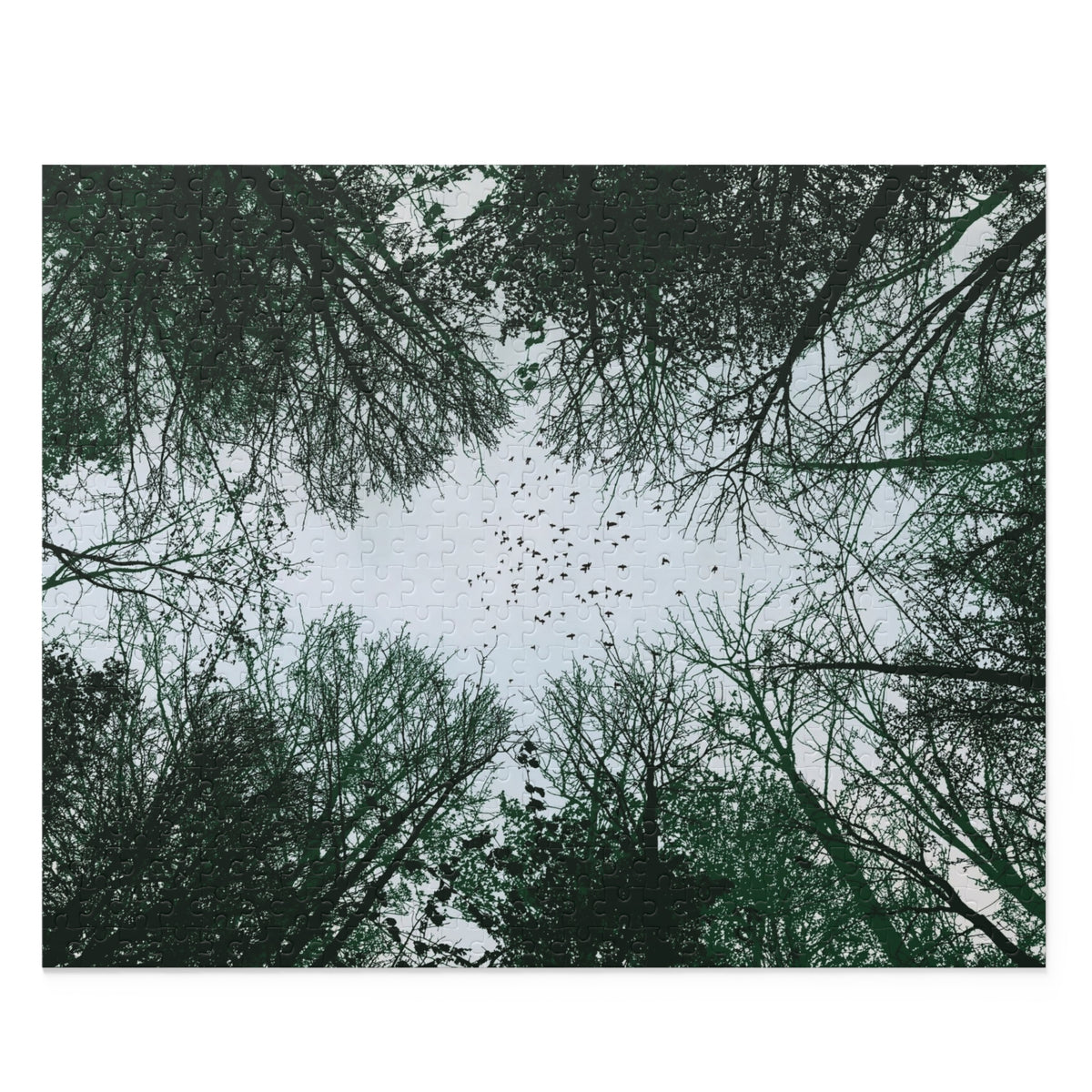 Forest Canopy Puzzle
