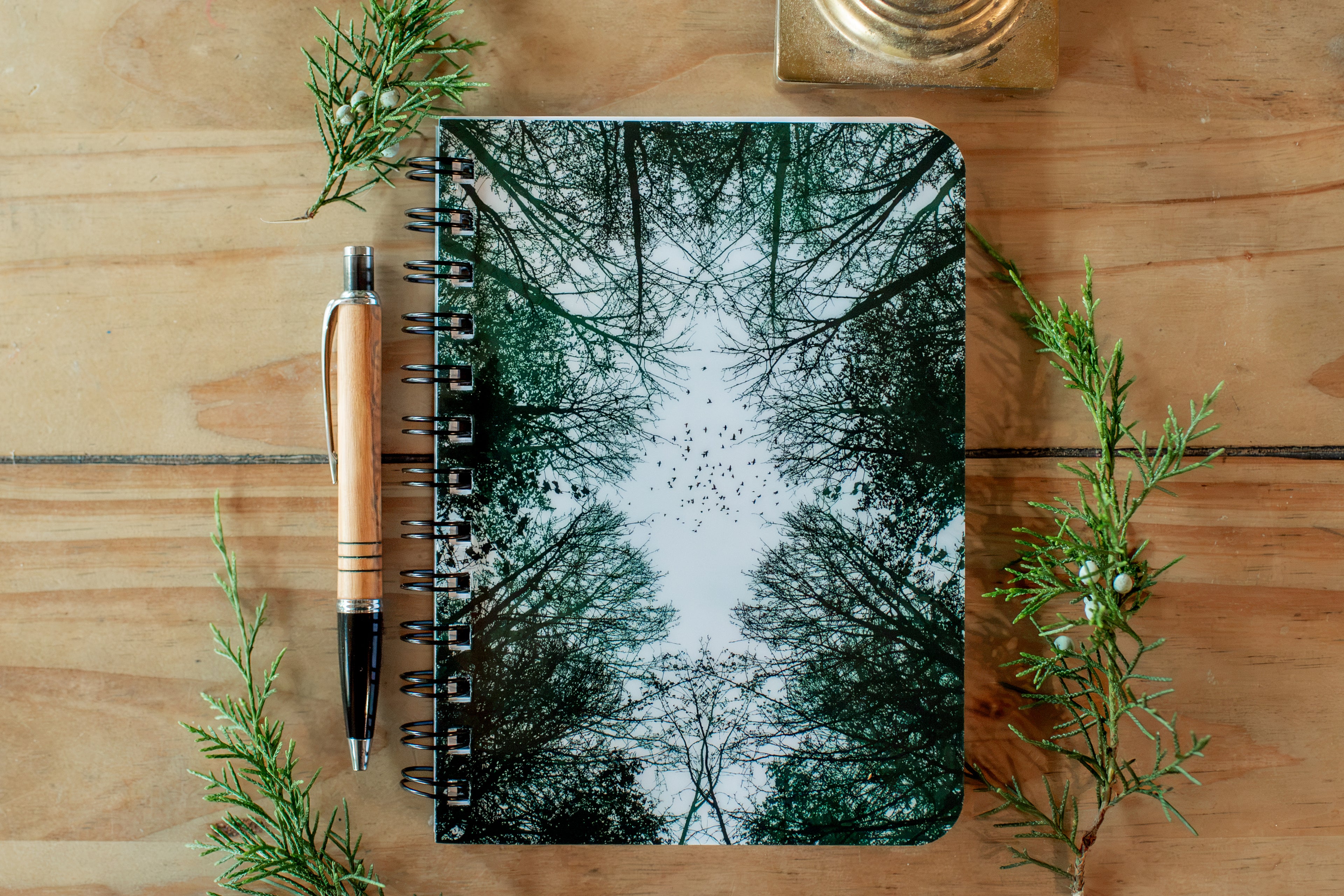 Flight - Reflections Beneath the Trees Spiral Journal