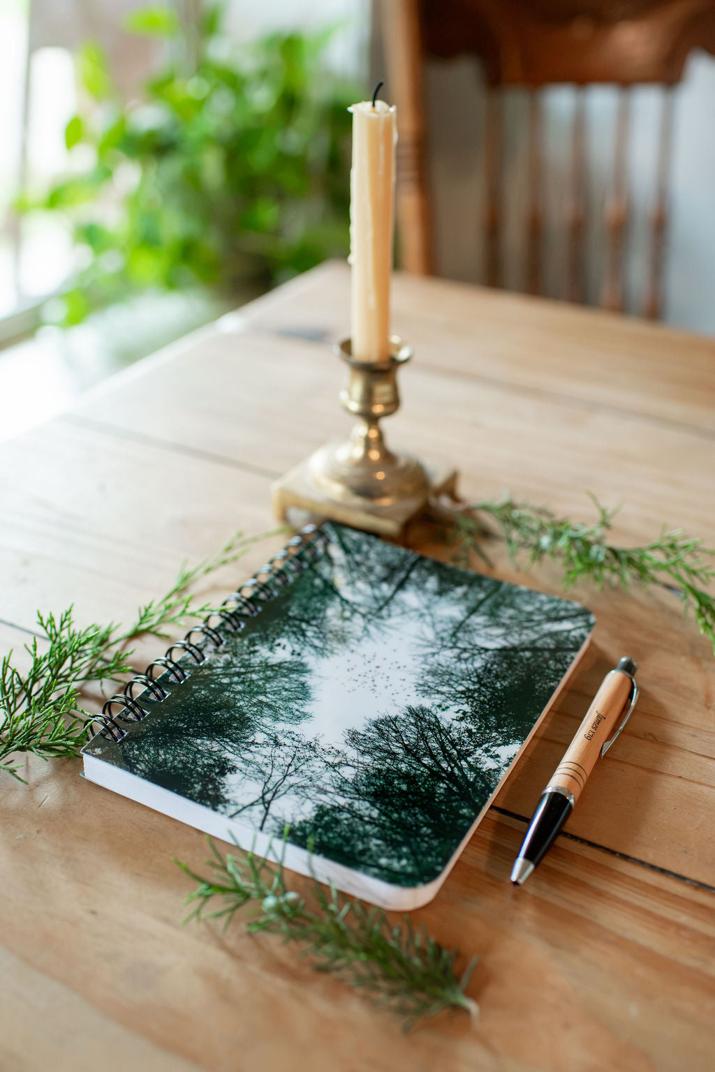 Flight - Reflections Beneath the Trees Spiral Journal