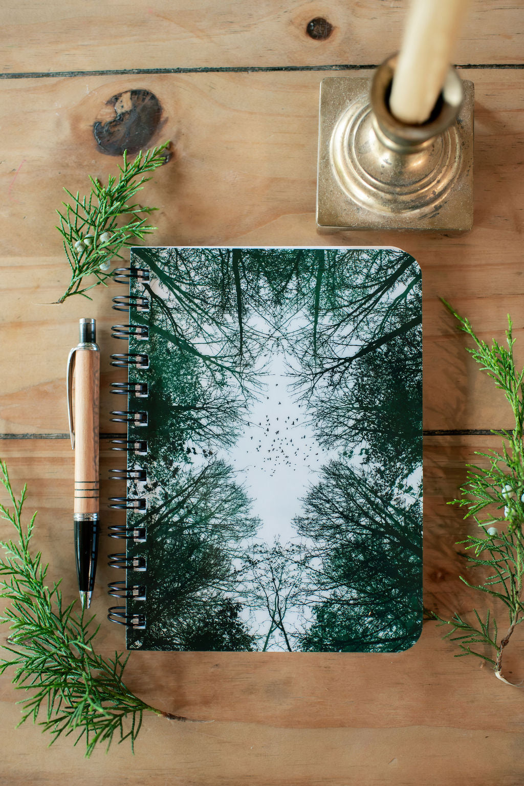 Flight - Reflections Beneath the Trees Spiral Journal