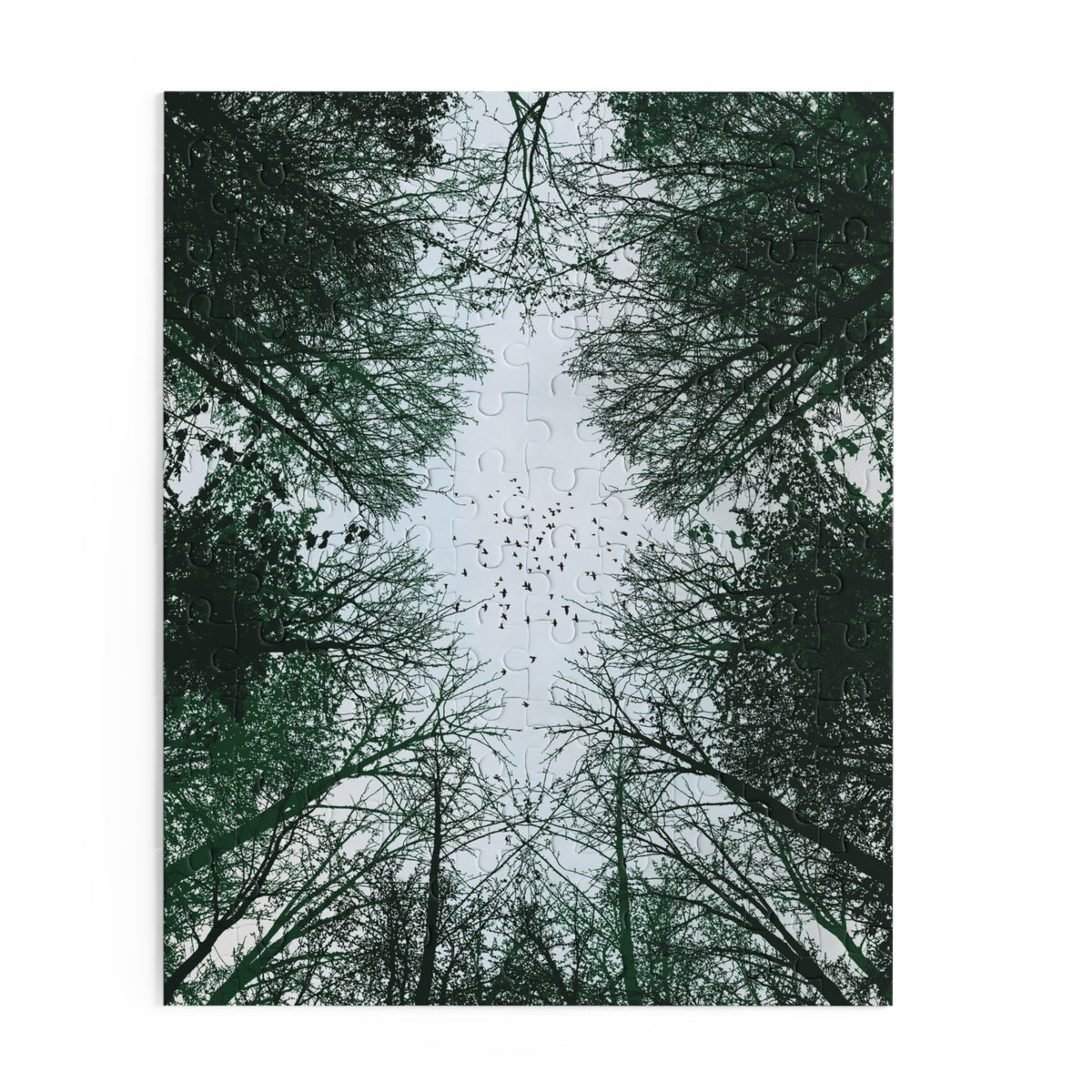 Forest Canopy Puzzle